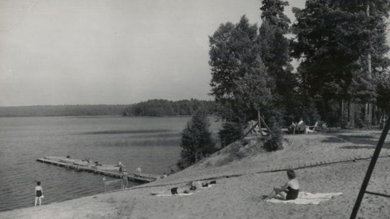 Northern Nights Resort (Crists Forest View Resort) - Vintage Postcard
